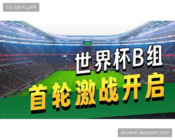 世界杯B组波黑晋级前景全面分析